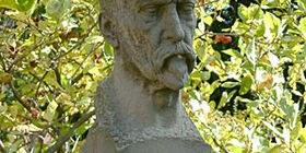 Mšeno 2005-9