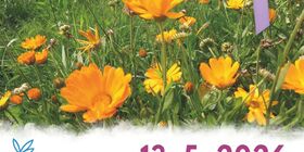 Český den proti rakovině 2026