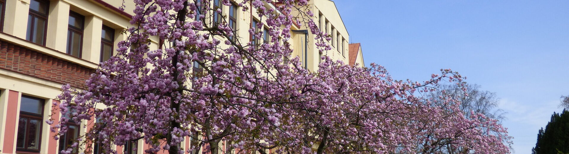 Vítá Vás město Mšeno