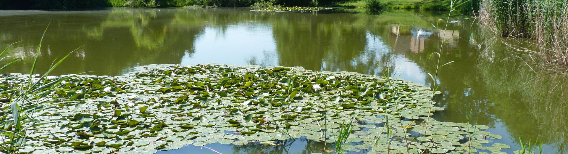 Vítá Vás město Mšeno