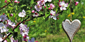 Večer milostné poezie 2026