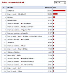 Nejnavštěvovanější stránky v roce 2006