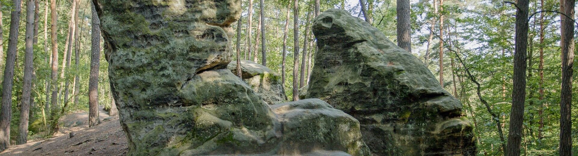 Vítá Vás město Mšeno