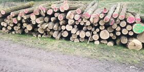 ZMĚNA CENY PALIVOVÉHO DŘÍVÍ od 1.2.2025