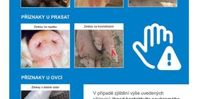 Aktuální informace k možnému šíření virového onemocnění slintavky a kulhavky