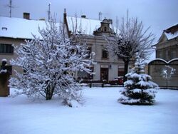 PF 2009