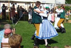 Ze zdařilého Folklorního festivalu