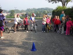 Týden mobility
