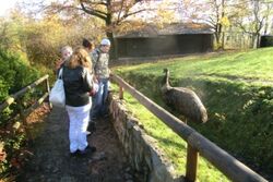 Na návštěvě v zoo