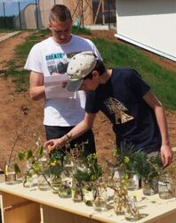Zlatá včela 2013