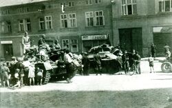 Historikovo zamyšlení
