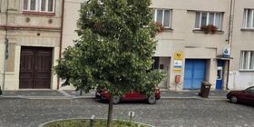 Omezení provozu Pošty Partner Mšeno 10.07.2026
